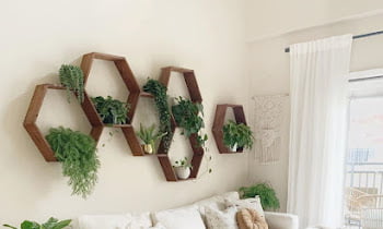 33 Living Room Decor Ideas with Plants That You Can Copy