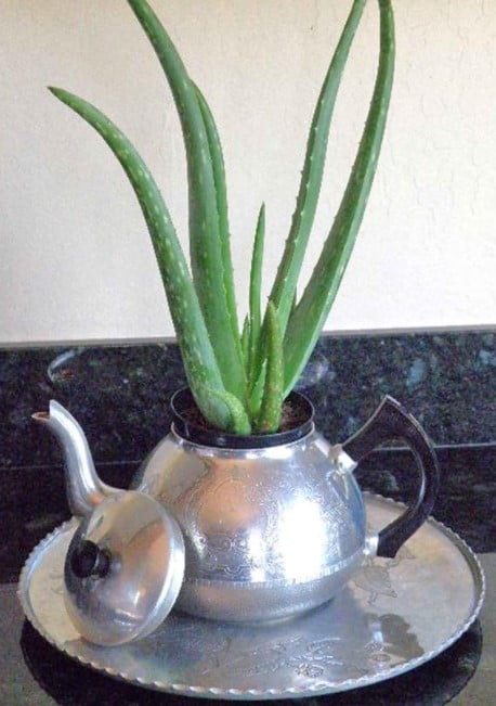 decorative pots for indoor plants