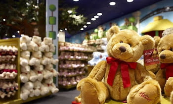 How to Open a Complete Toy Store