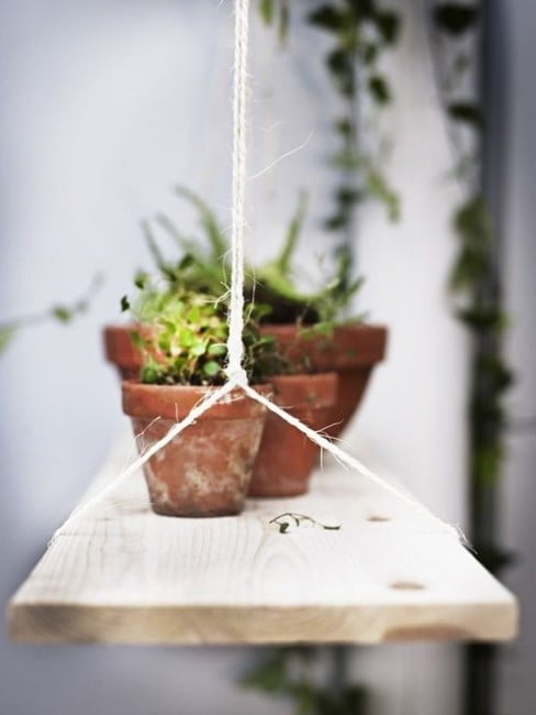 decorative pots for indoor plants