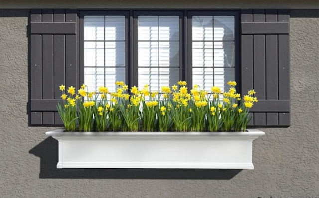unique window designs