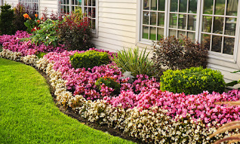Comment fleurir le jardin, Conseils et idées pour un jardin coloré