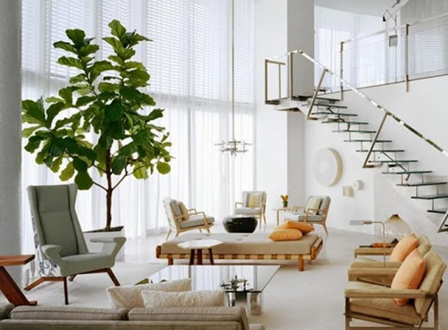 trees for decorating indoors trees for decorating indoors