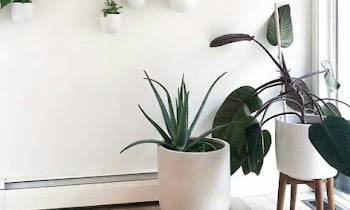 9 Small Garden Inspirations in the House, Minimalist and Refreshing!