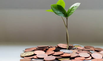 Various Of Ideas Start Up Businesses That Make The Most Money