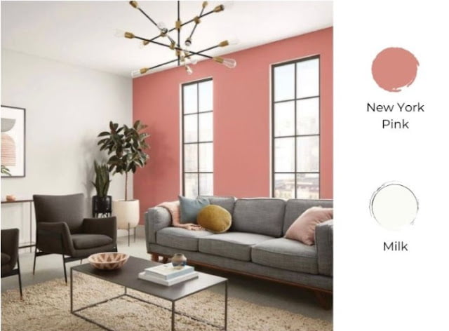 2 colour combination for living room
