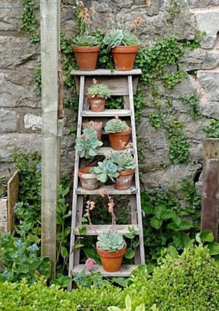 vertical garden design