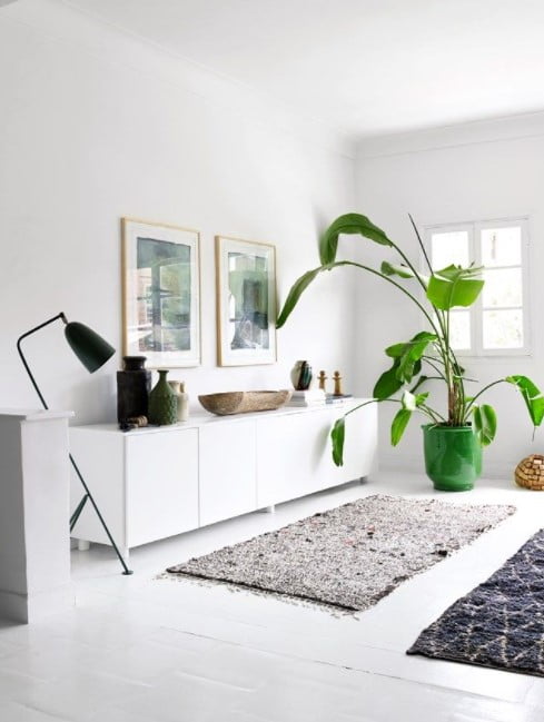 indoor plant trends 2023 indoor plant trends 2023