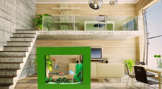 best aquarium design for home