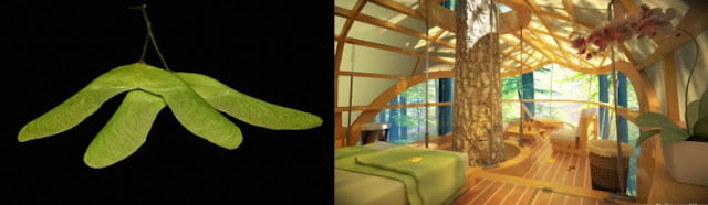 biomimetic architecture works