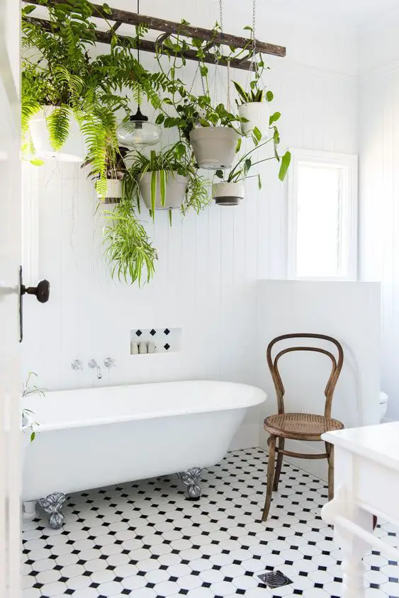 bathroom decorated plants